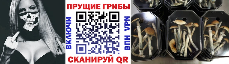 Галлюциногенные грибы Magic Shrooms  купить  сайты  Черепаново 