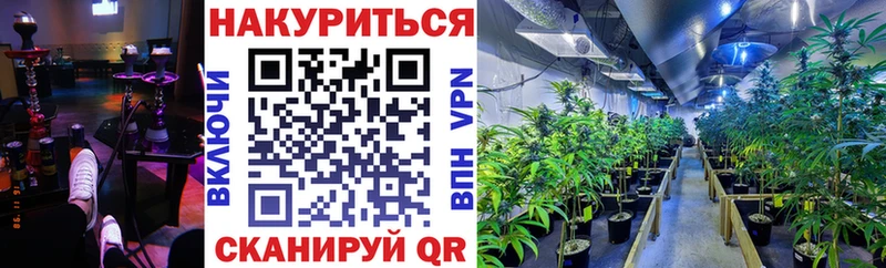 Шишки марихуана план  где продают   Черепаново 